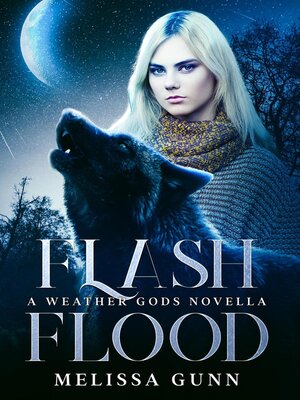 Flash Flood - ebook